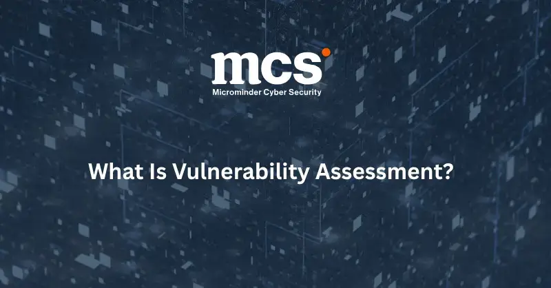 What Is Vulnerability Assessment? What Is Vulnerability Assessment?